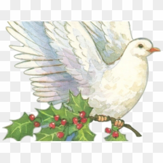 Clip Art Dove Vintage Christmas - Png Download