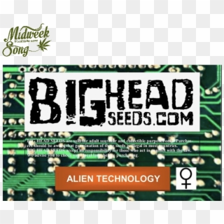 Big Head Seeds Alien Technology Cannabis Seeds - Microcontroller Clipart