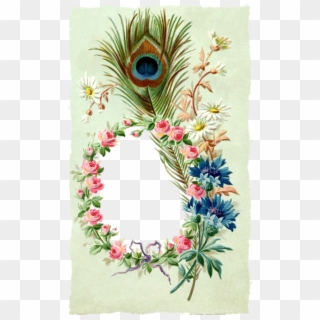 Vintage Frame Floral Feather Png Image - กรอบ วิน เท จ ดอกไม้ Clipart