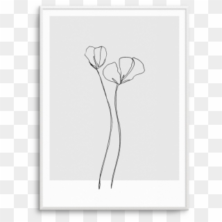 Poppy Grey Illustration Buy - Paper Clipart