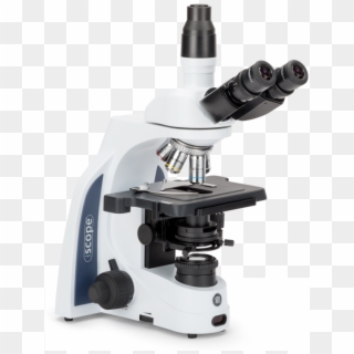 View Iscope - Euromex Microscope Clipart