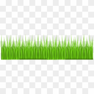 Grass Green Lawn Garden Nature Png Image - Pasto Vector Png Clipart