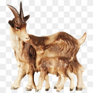 With Standing Ornatis - Goat Clipart
