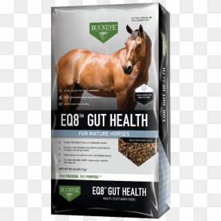 Eq8™ Gut Health Multi-textured Feed - Canadian Mens Health Foundation Clipart