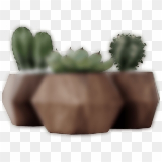 Dark Slider 3 Plant - Hedgehog Cactus Clipart