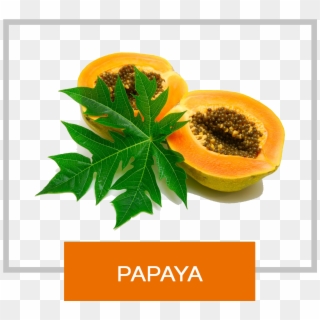 Papaya With Leaves Clipart