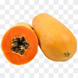<b>holland Papaya</b> - Winter Squash Clipart