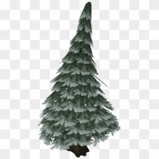 Pine Trees In The Arctic Clipart