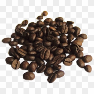 Coffee Beans Png Free Download - Quality Of Coffee Clipart