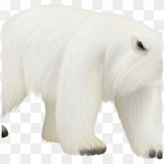 Polar Bear Dragon Baby - Dragon Mania Legends Ice Polar Bear Clipart ...