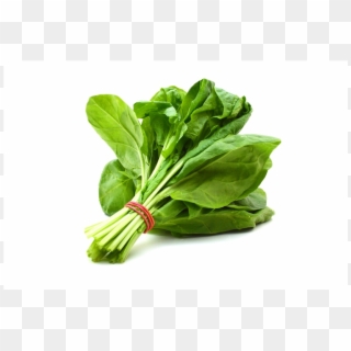 Spinach Leaf Png - Spinach Meaning In Gujarati Clipart