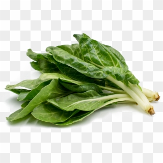 Swiss Png Transparent Image Transparent Background - Green Swiss Chard Png Clipart