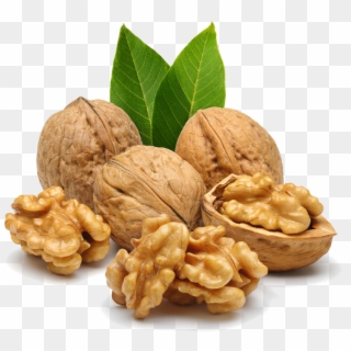 Nut Free Png Image - Walnut Images Png Clipart