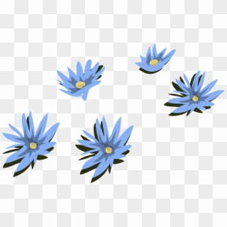 Water Lily Lilies Blue Flowers Png Image - Blue Lily Flower Transparent Clipart