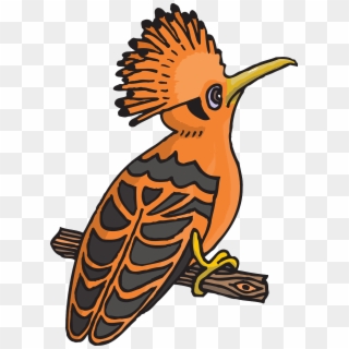 Hoopoe Clipart Png Transparent Png