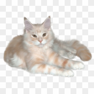 Real Cat Clipart - Png Download