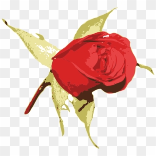 Garden Roses Blue Rose Flower - Rose Clipart