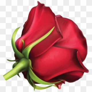Large Red Rose Png Clipart Image - Стикеры Цветы Transparent Png