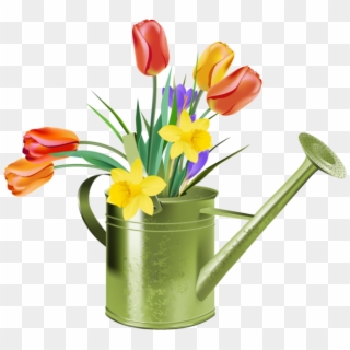 Information And Clip Art About - Spring Tulips Clip Art - Png Download