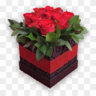 Bloomin Box Red - Floribunda Clipart