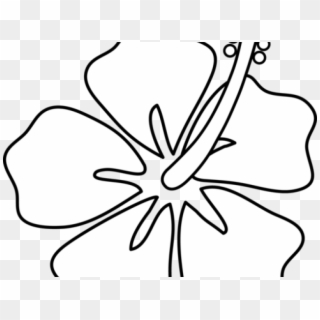 Hawaiian Flower Outline - Drawing Clipart