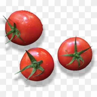 Tomato - Plum Tomato Clipart