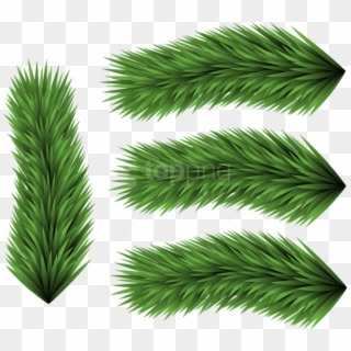 Free Png Set Of Pine Branches Png - Grass Clipart