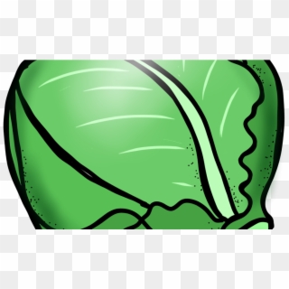 Green Cabbage Clip Art - Png Download