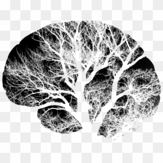 Pin Brain Clipart Png - Black And White Brains Transparent Png