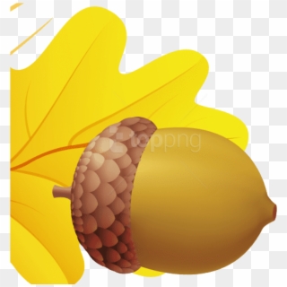 Free Png Download Acorn Png Images Background Png Images - Желудь Рисунок Png Clipart