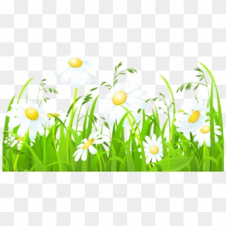Free Png Download White Flowers And Grass Transparent - Grass Clipart