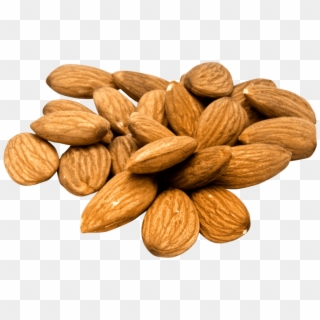 Free Png Almond Png Images Transparent - Almonds Png Clipart