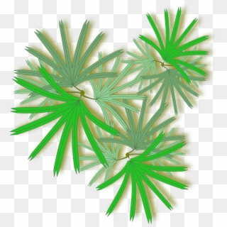 Palm Top View Png Clipart