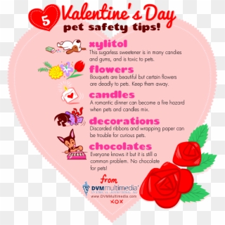 Dvm-valentine - Valentines Day Pet Tips Clipart