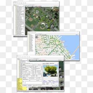 Tree Management Software - Plan Clipart