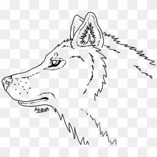 Wolf Head - Line Drawing Wolf Head Clipart
