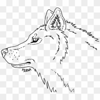 Free Wolf Head Png Transparent Images Pikpng