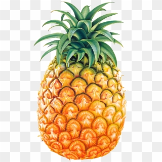 Pineapple Fruit Png Image - Pineapple Png Clipart