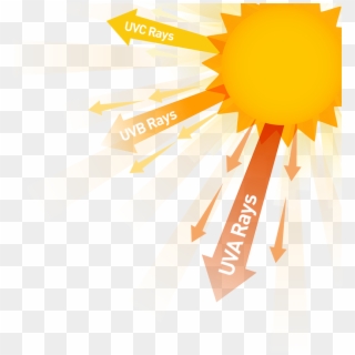 Sunlight Clipart Sun Exposure - Uv Rays - Png Download