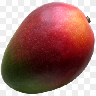 Mango Clipart