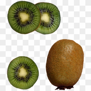 Kiwi Png Image, Free Fruit Kiwi Png Pictures Download - Fruit From Top Png Clipart