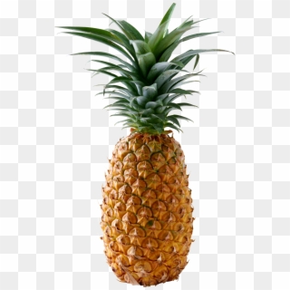 Pineapple Png Image, Free Download - Pineapple Png Clipart