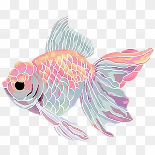 Graphic Free Download Fish Flower Aesthetic Kawaii - Goldfish Aesthetic Clipart