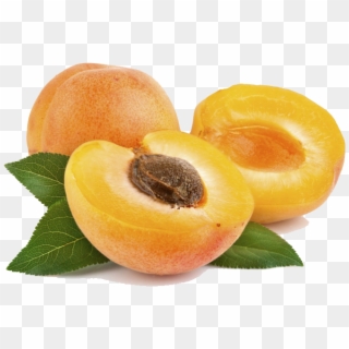 Apricot Png Png Image - Apricot Png Clipart