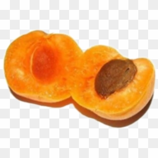 Fruit Sticker - Apricot Meaning In Tamil Clipart