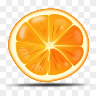 Fruits Picture - Orange Slice Vector Free Clipart