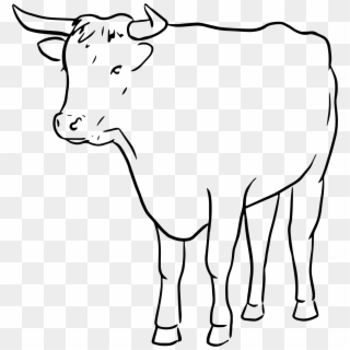 Big Image - Line Drawing Of A Bull Clipart