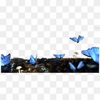 Blue Butterfly - Forest Butterflies Background Clipart