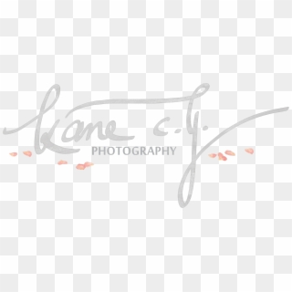 Cy Photography Kane - Calligraphy Clipart