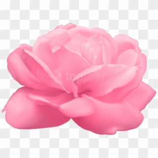 Free Png Pink Rose Png Images Transparent - Artificial Flower Clipart